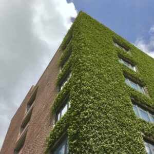 EPD-ympäristöseloste